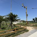 중도일보 | [직장인 서포터즈 일기] 부평캠프마켓 서포터즈 지원부터 발대식까지!