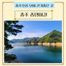 제308차 6월 15일(토)충주 종댕이길 산행(트레킹)안내 이미지