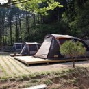 포시즌스 오토캠핑장 이미지