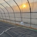 (주)맥스팜 이미지