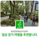 효자 최사립정문 | 일상 걷기 여행을 추천합니다(with 문화관광해설사)