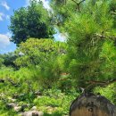 삼국식당 이미지