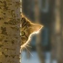 농협금천지점 | 월세 12% 인상 성공..지산 임대료 올리는 팁