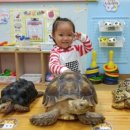 워니 농장 이미지