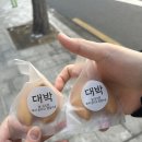 새집줄게 헌집다오 | 홍대 방탈출 토끼굴 | 두껍아 두껍아 헌집줄게 새집다오 극쫄의 내돈내산 후기