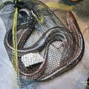 김포실내바다낚시터 | 이벤트어종이 많아서 재미있는 제이앤디 실내바다낚시터 김포본점 손맛 실컷 본 후기