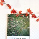 동수2길 22, (연수동) | [충북 충주맛집] 두툼한 초밥부터 우동, 돈카츠까지 퀄리티 훌륭한 ‘더 모미지’