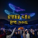아이샤팩토리 | 광명동굴 드론쇼 2025: 주차 꿀팁과 생생 후기 완벽 정리!