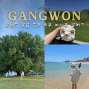 설악체육공원(G100) | "여름 휴가는? 강원도지!" 국내 여름 휴가지 강릉 원주 속초 여행 코스 추천