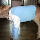 동물들의세상 이미지