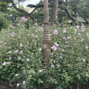 영빈여관 이미지