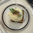 [순천카페]호수공원 카페 추천 브라우니 맛집 라리페하우스