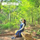 원평분수공원 농구장 | 양재시민의숲 가볼만한곳 공영주차장 록록정원 매헌시민의숲 서울산책로