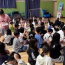 노화초등학교 | 6월1일 흡연예방 스마트 퀴즈쇼 도전 금연왕 후기 (완도 노화초, 보령 청라중)