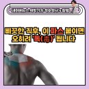 새정다운약국 | 쿨파스 vs 핫파스 언제 붙일까? 네이버 의학전문뉴스 하이닥 취재 답변 후기와 파스 사용법 완전 정리!