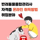 반려동물종합관리사 자격증 온라인 취득방법 취업분야