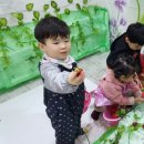 우성2농장 이미지