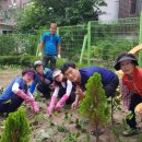 나비약국 이미지