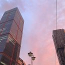 쌍둥이축산 | 광화문 직장인의 6월 일상 | 캠핑, 전시, 그리고 좋은 날씨의 기록