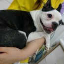 보스턴 호텔 이미지