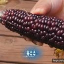 녹전3리마을회관 이미지