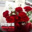 어반블룸 | 광주 화정동 꽃집 어반블룸 어버이날 꽃배달 카네이션 꽃다발 솔직 후기
