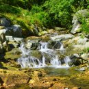 캠프1530 이미지