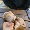 대왕표고버섯 이미지