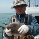 고하대로 672 ~672-1 이미지