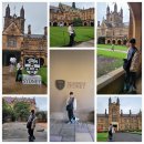 오페라 <마을벤치> | 4박 6일 패키지여행 다섯째·여섯째날 후기 시드니대학교, 국립해양박물관, 오페라하우스, 선셋크루즈"