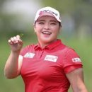 에이스프로헤어