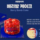 (12/19)크리스마스 미니트리 티스토리
