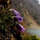 (주)동강 이미지