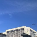 하라스 | 🇺🇸 미국 여행- 라스베가스 하라스 호텔 숙박 후기 Harrah‘s hotel