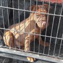 자라농장 이미지