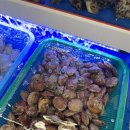 평택조개구이무한리필 이미지