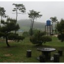 김종호농장 Daum카페