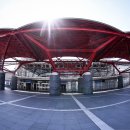 한겨레태권도 이미지