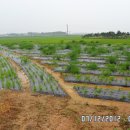 근현농장 이미지