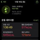 크로스핏 다이노소어 이미지