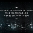 렘(REM)