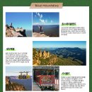 블루마운틴 이미지