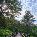 고복자연공원 수변 길 이미지