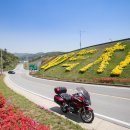 한국차문화공원 관광안내소 이미지