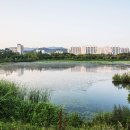 만석공원 이미지