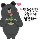 영동군 웰리스 무장애나눔길