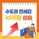 여기우남공인중개사사무소 이미지
