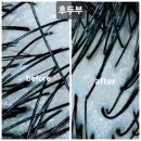 페이버헤어 숲칼프 대구대곡점 | 두피관리를 위한 페이버헤어 숲칼프 대구대곡점