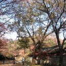 종로-종로-종로-종-314 이미지