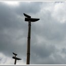 솟대 - 종로구 종로 336 | 솟대